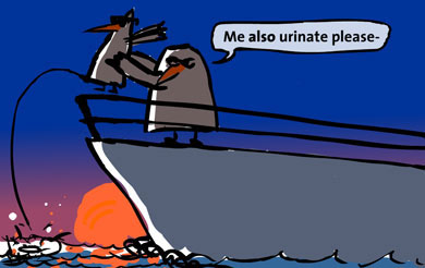 Le sunset est tres bibelou, no?