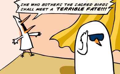 She who bothers the sacred birds shall meet a terrible fate!!!