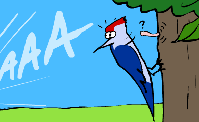 Woodpecker Woodpecker