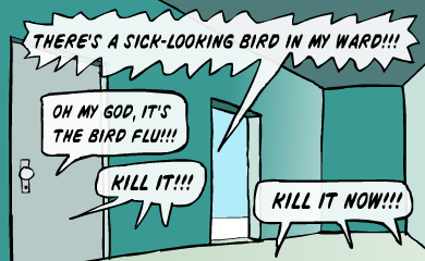 There's a sick-looking bird in my ward! Oh my God, it's the bird flu!!! Kill it!!! Kill it now!