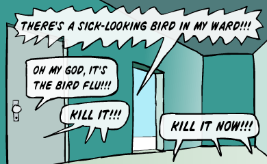 There's a sick-looking bird in my ward! Oh my God, it's the bird flu!!! Kill it!!! Kill it now! There's a sick-looking bird in my ward! Oh my God, it's the bird flu!!! Kill it!!! Kill it now!