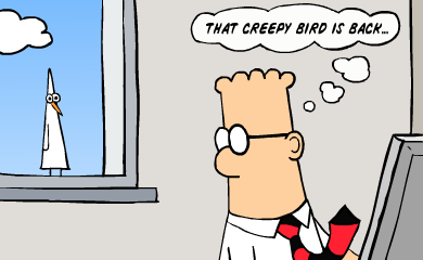 That creepy bird is back...
