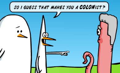 So I guess that makes you a colonist?